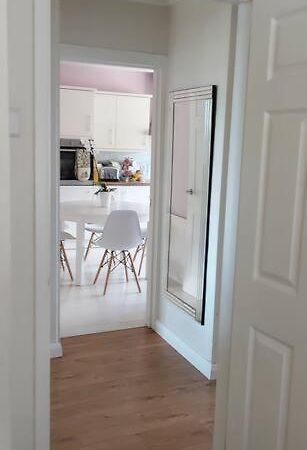 Bellevue Bungalow - Comfortable Home With Amazing Views Belfast Bagian luar foto