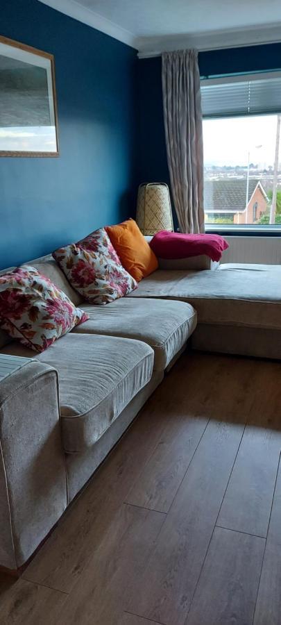 Bellevue Bungalow - Comfortable Home With Amazing Views Belfast Bagian luar foto