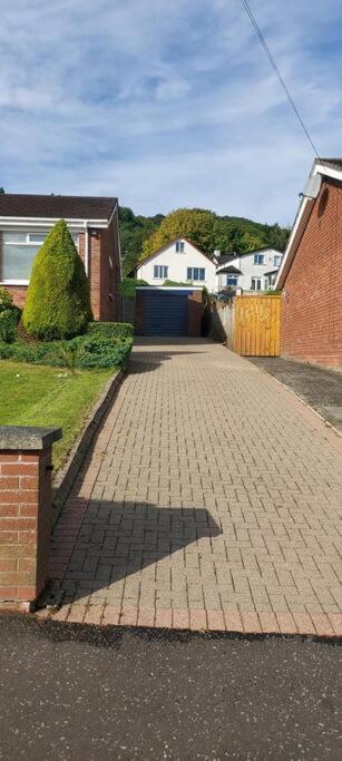 Bellevue Bungalow - Comfortable Home With Amazing Views Belfast Bagian luar foto