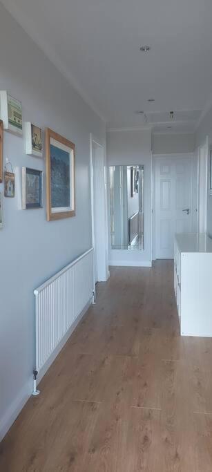 Bellevue Bungalow - Comfortable Home With Amazing Views Belfast Bagian luar foto