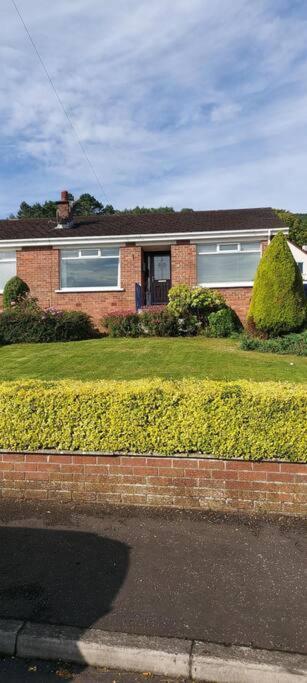 Bellevue Bungalow - Comfortable Home With Amazing Views Belfast Bagian luar foto