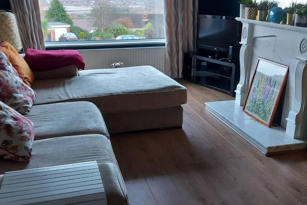 Bellevue Bungalow - Comfortable Home With Amazing Views Belfast Bagian luar foto