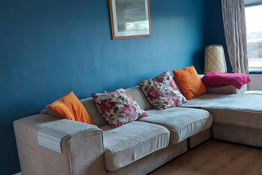 Bellevue Bungalow - Comfortable Home With Amazing Views Belfast Bagian luar foto