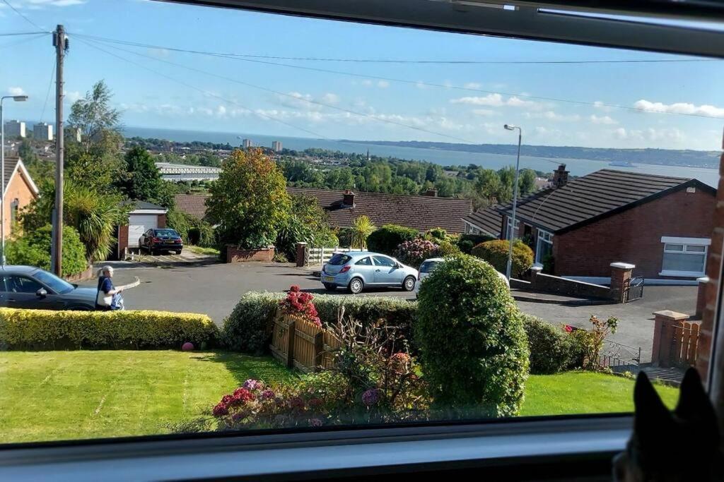 Bellevue Bungalow - Comfortable Home With Amazing Views Belfast Bagian luar foto